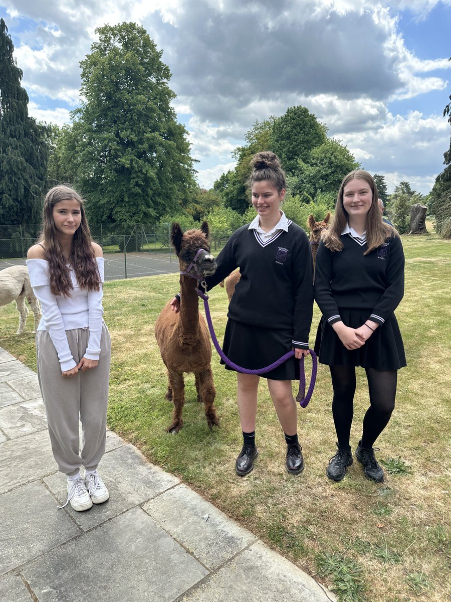 Happy Friday and have a lovely half term from all of us <a href="/LimpsfieldGrang/">Limpsfield Grange</a> !