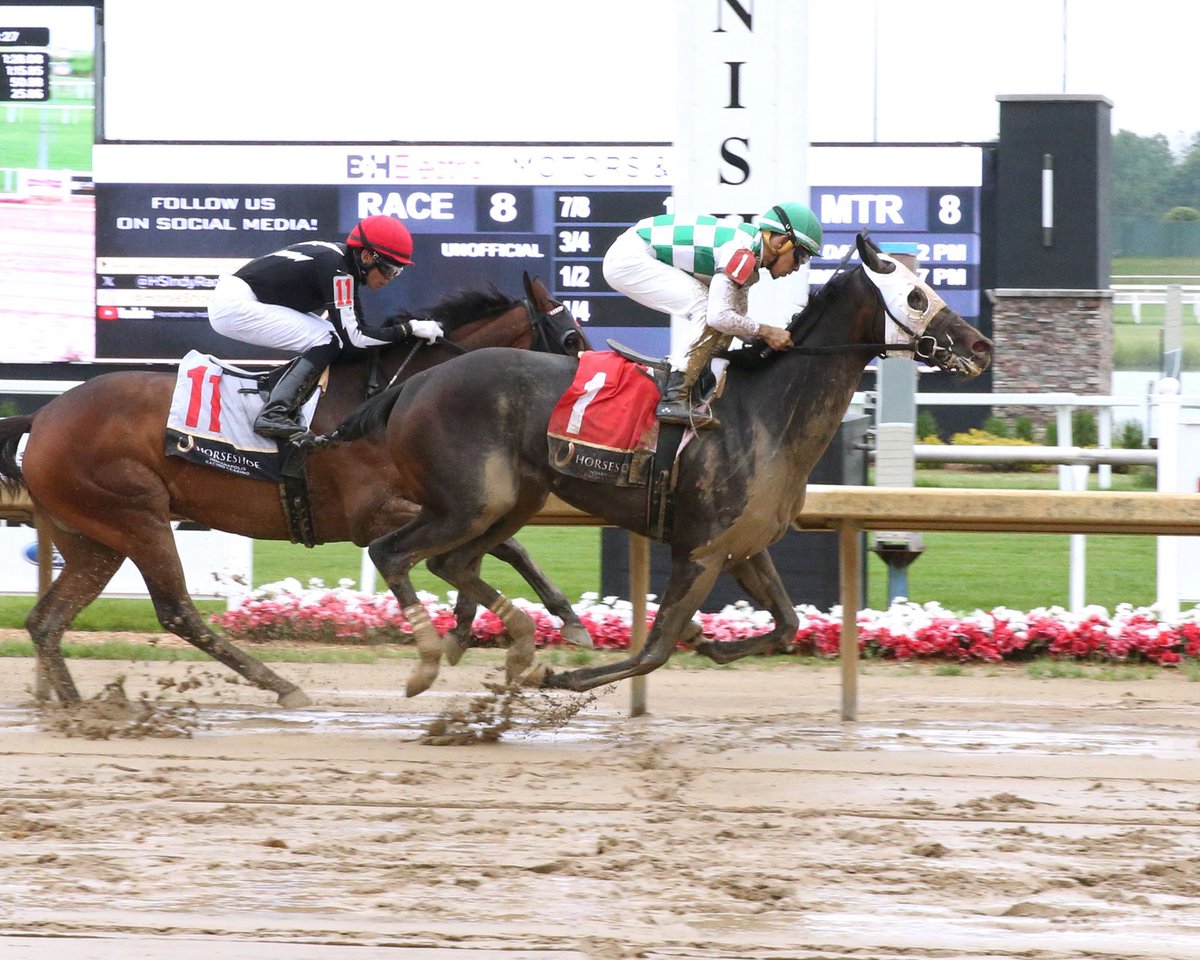 RollingFieldsTB's tweet photo. ASTERIA breaks her maiden in professional fashion to earn the first win for Rolling Fields Thoroughbreds! Huge thanks to Annie Navarrete, Beni Navarrete, Santo Sanjur, and everyone who has played a role in developing this filly. Congrats to all of our partners! https://t.co/U6Ifx6tTbt