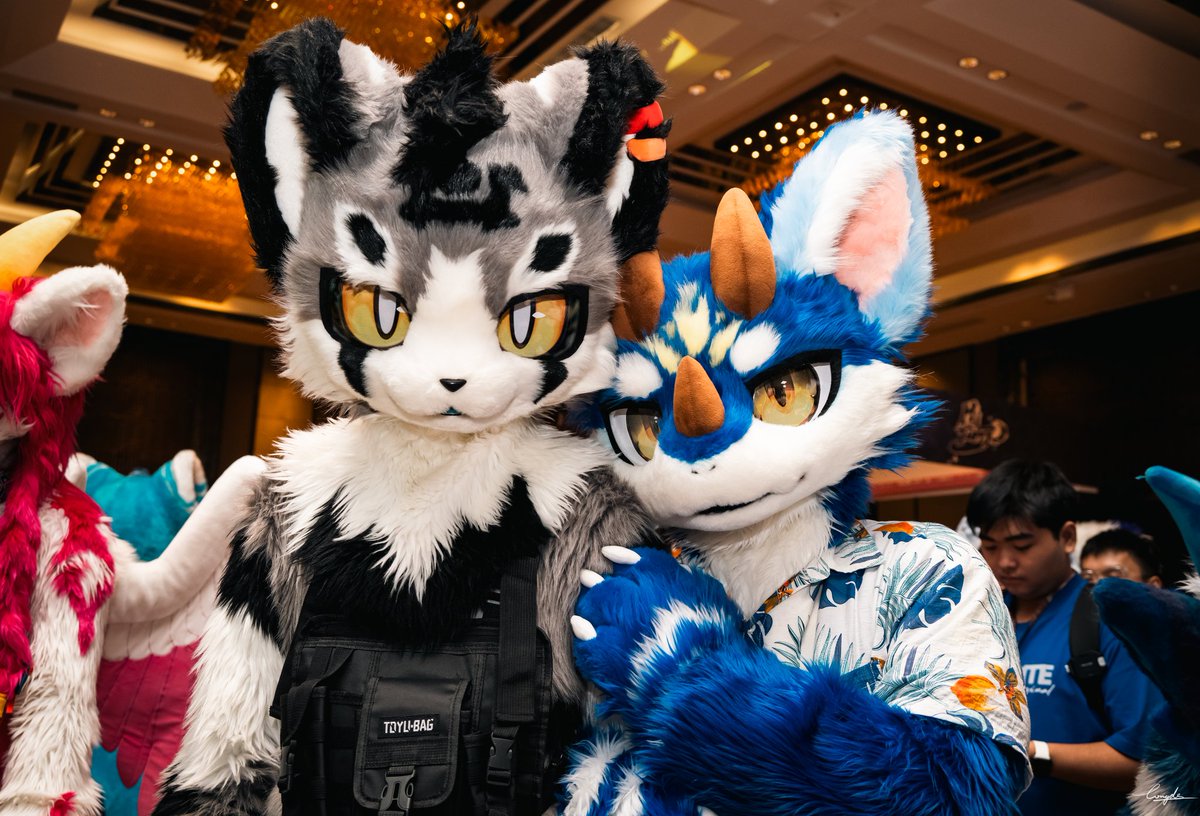 #FursuitFriday
难得的小龙依人🥺.jpg
🐯：超帅气的七七老师
📷：<a href="/Longde233/">隆德-Londer</a>