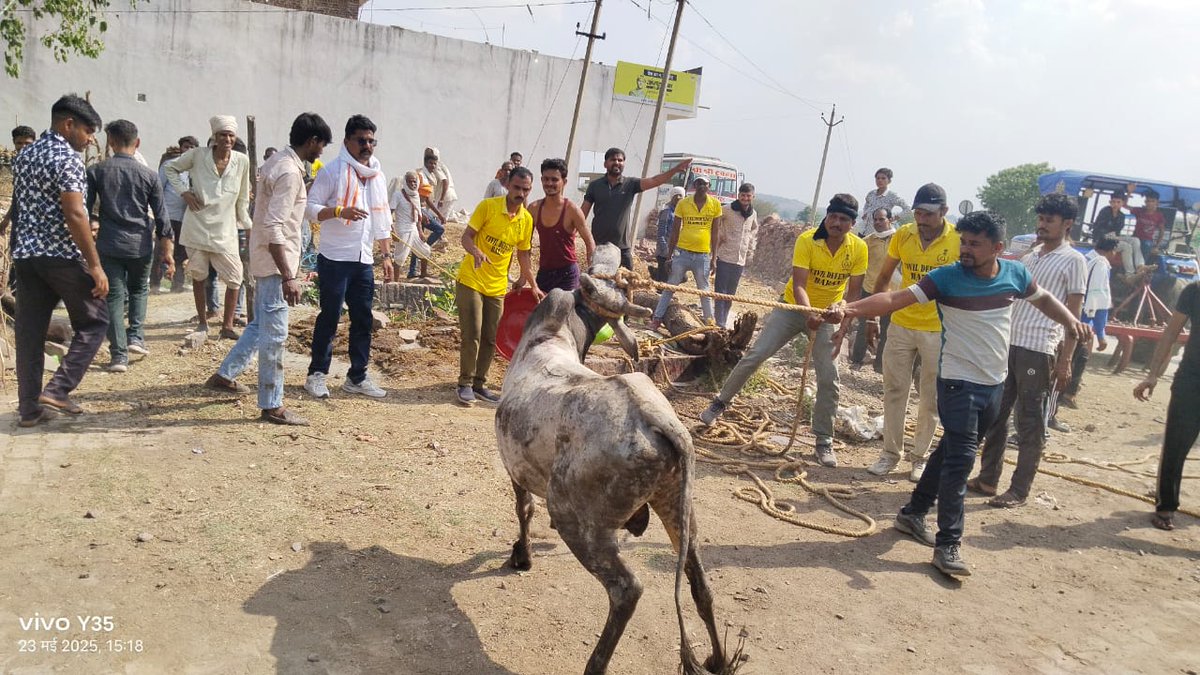#Baran #छीपाबड़ौद सारंगखेड़ा में कुएं से नन्दी का रेस्क्यू 
बिना मुंडेर के कुएं में गिरा नन्दी  SDRF टीम गौ रक्षक सेवा दल व ग्रामीणों ने रेस्क्यू कर नंदी को निकाला बाहर रेस्क्यू के दौरान भाजपा नेता राम कल्याण गुर्जर VDO राजमल चक्रधारी रहे मौजूद