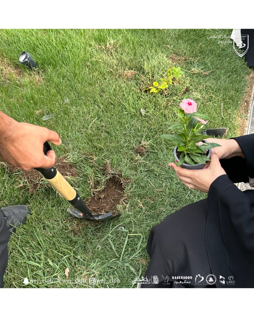 | نادي وجّ السعودي tweet media