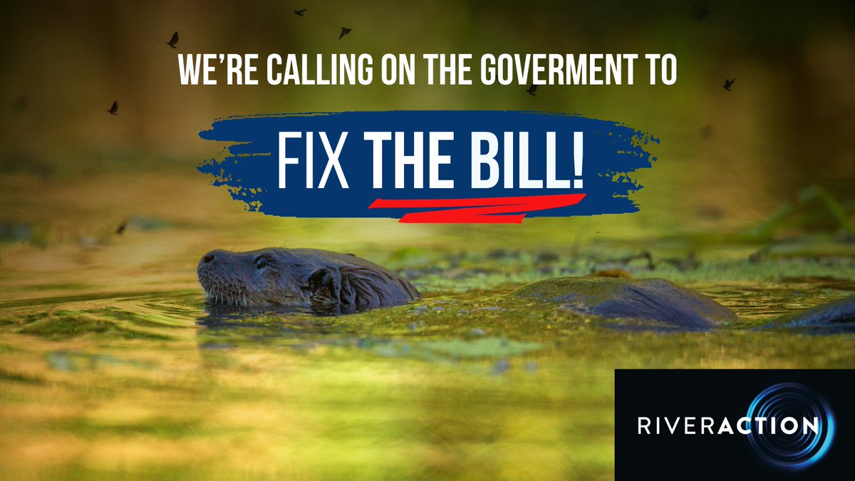 RiverActionUK's tweet photo. 🚨 We’re calling on the Government to #FixTheBill 🚨
📜 The UK Planning & Infrastructure Bill threatens to dismantle vital environmental protections, putting our rivers, wildlife, and communities at risk. Developers could bypass safeguards jeopardizing irreplaceable habitats like our precious chalk streams.
💚 We’re joining @WCL_News and other environmental charities to urge the government to amend the Bill to ensure sustainable development that protects our rivers and wildlife.
#ProtectNature #SaveOurRivers #PlanningBill
