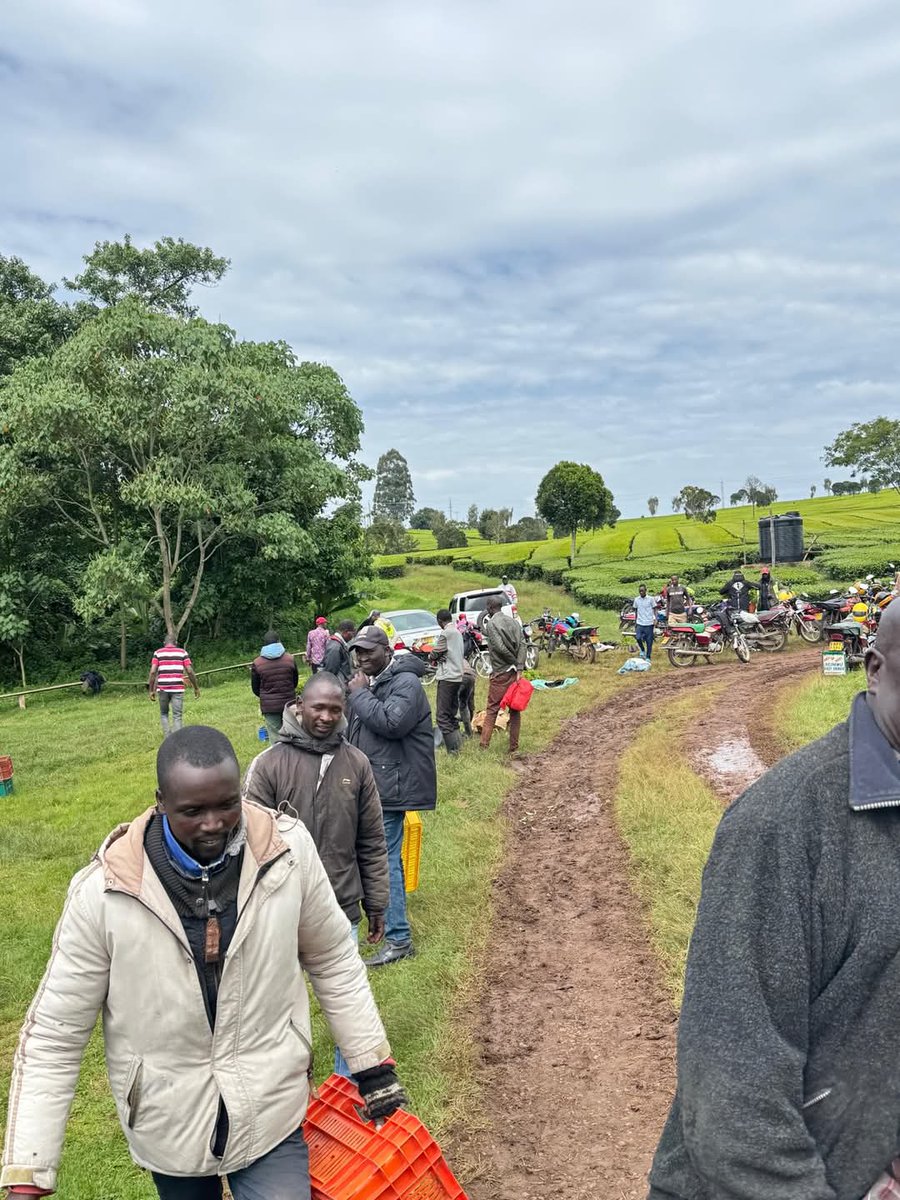 Muge_Cynthia's tweet photo. MAMA NA KAHAWA - PHASE 2.
This afternoon, we successfully distributed coffee seedlings to beneficiaries from Nandihills Ward at Siret Estate, Kipkeibon.
Empowering for Sustainability.
Nandihills Ward, Nandihills Constituency
#CheptiKonyool
#KeepingThePromise https://t.co/8LszLIGixd