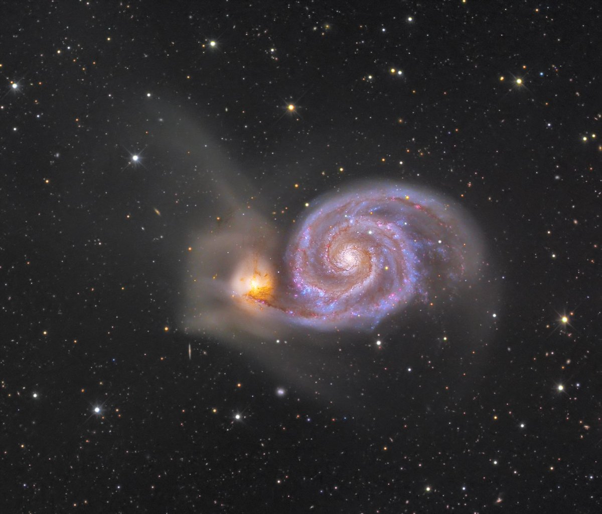 Trace the Big Dipper’s handle to its last bright star, then look just south-west—there lies M51, the Whirlpool Galaxy.🌌✨

It comprises NGC 5194 and its companion NGC 5195. Deep-field imaging reveals tidal features and extensive dust lanes