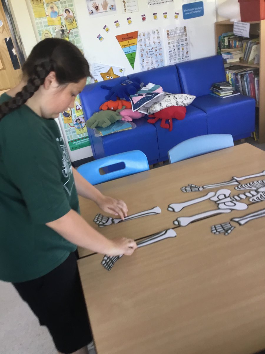 Learning about the human body. #UNCRC Article 28