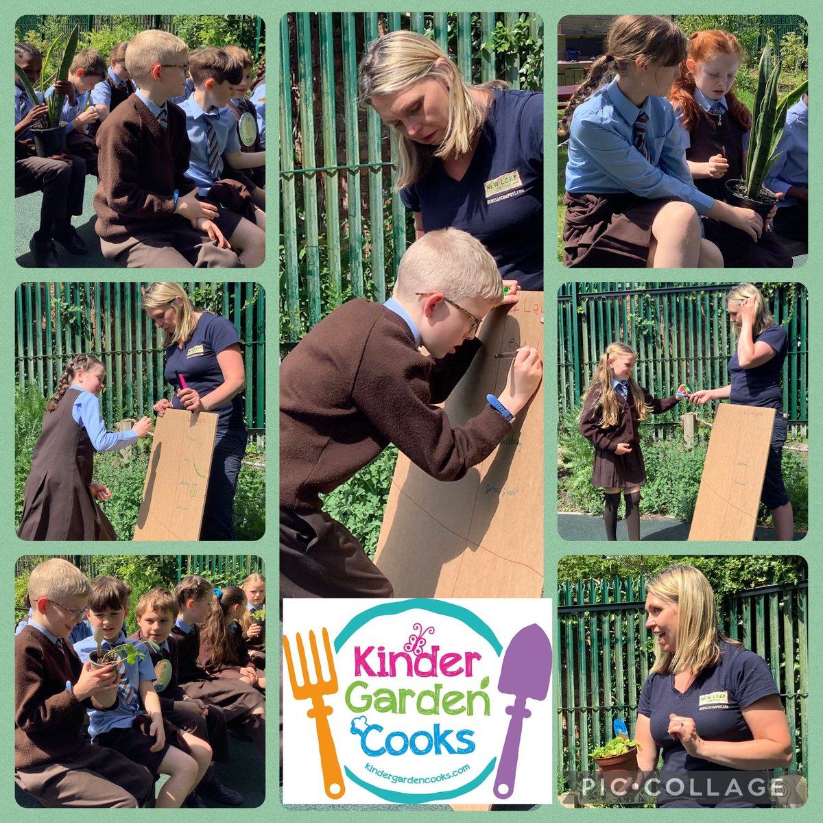 TheresePS's tweet photo. Lots of fantastic outdoor learning in P5, linked with our rainforest topic. 🪴🏕️Quality thinking, planning, problem solving and team work strategies being developed! 👏👏👏 https://t.co/gCn0xo9c9H