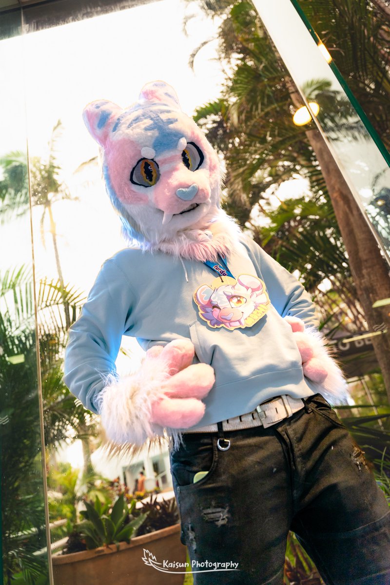 Just a kitty striking a pose!~ ✨
Hope everyone's havin a good #FursuitFriday &lt;3

📸: <a href="/KaisunDerg/">Kaisun (Sean)</a>