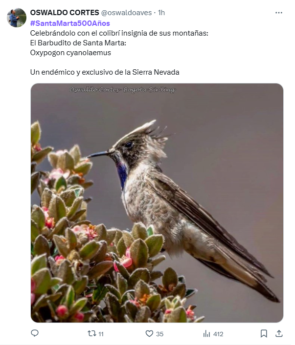 «#SantaMarta500Años», porque:
1. Aparecen posts recordando que la ciudad de Santa Marta está cerca de cumplir 500 años.
Fue fundada el 29 de julio de 1525.
2. Resaltan la labor de su alcalde al lograr un convenio para solucionar el acueducto y alcantarillado en la ciudad.