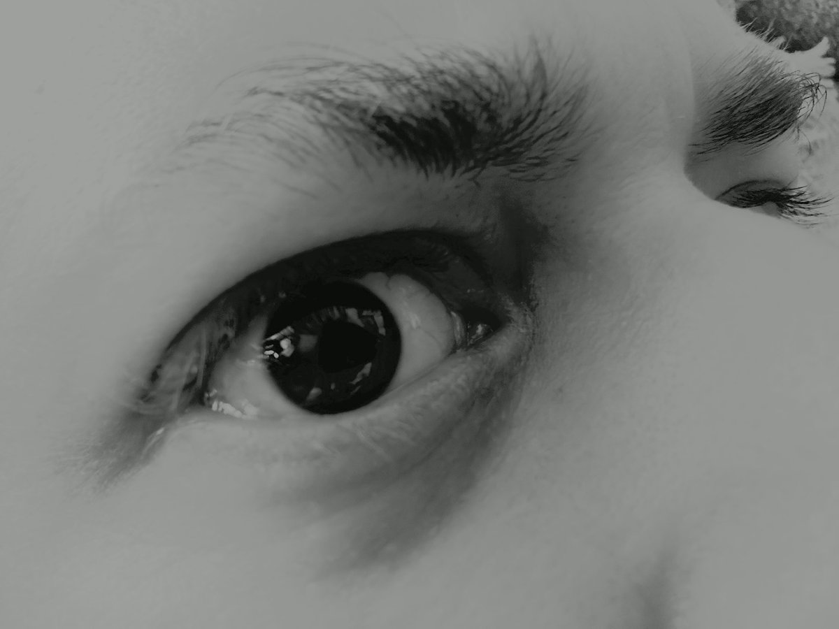 Alejandro Castillo tweet media