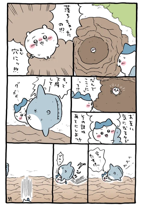 🐟 