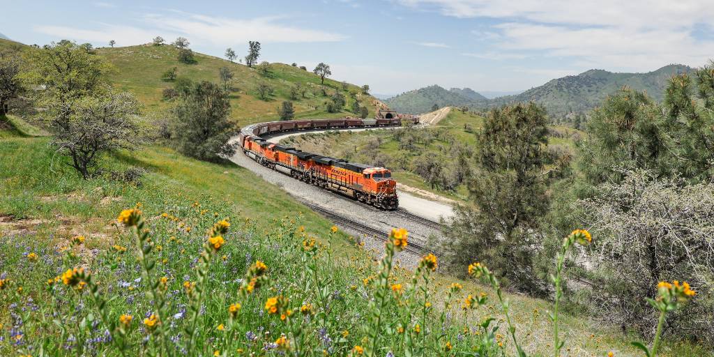 BNSFRailway's tweet photo. It’s official: We have the best railfans. 📷

The 2025 spring photo contest made us green with envy. Check out this year’s winners: https://t.co/aXOtdHJOWX

#photocontest #springphotos #railphotography https://t.co/pcHgj0rvGs