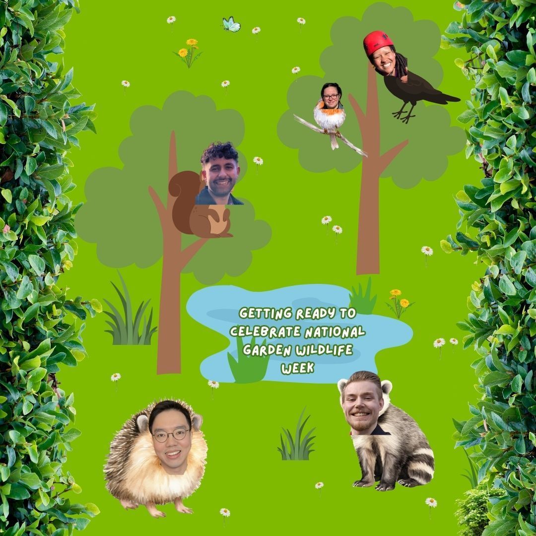 hepp_hq's tweet image. This weeks roundup of Hepp/HeppSY activity.

We had loads of fun delivering workshops across the region in the run up to National Garden Wildlife Week!

We'd like to extend a big thank you to all our schools and learners for taking part!
 
#OfficeForStudents #UniConnect #Hepp