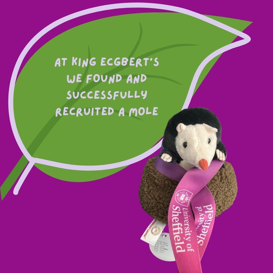 hepp_hq's tweet image. This weeks roundup of Hepp/HeppSY activity.

We had loads of fun delivering workshops across the region in the run up to National Garden Wildlife Week!

We'd like to extend a big thank you to all our schools and learners for taking part!
 
#OfficeForStudents #UniConnect #Hepp