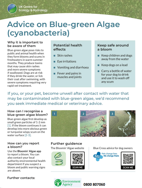🧵We have confirmed the  presence of blue-green algae in Lake Windermere at sites including  Lakeside YMCA bathing water and between High &amp; Low Wray Bays.