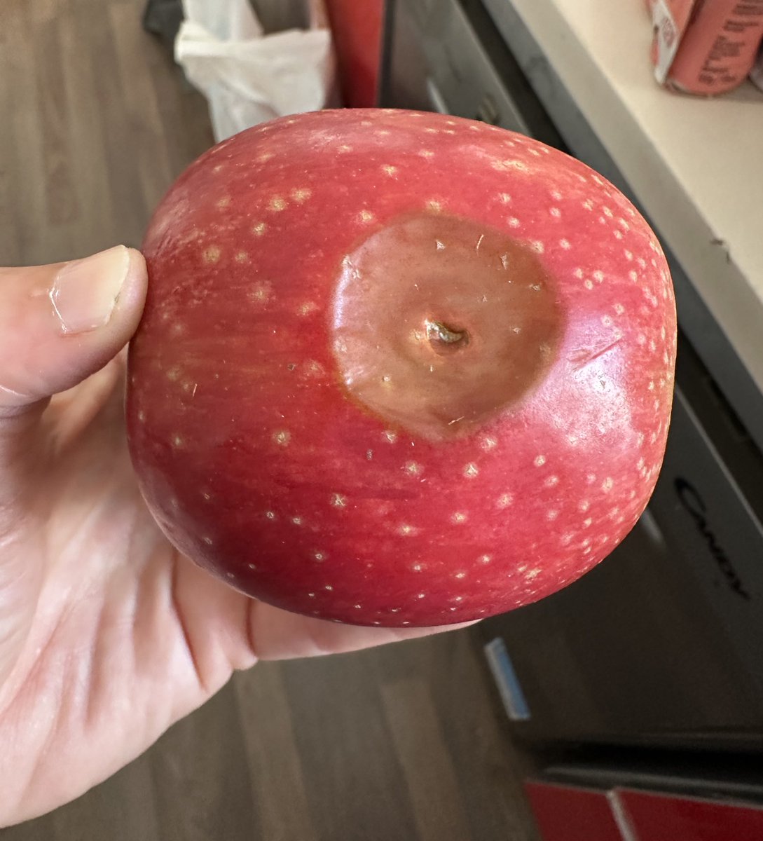 irenecastello's tweet photo. Gracias @Consum por esta manzana que me habéis traído en mi compra on line veo que la habéis escogido expresamente para mí https://t.co/7uJAysbu9K