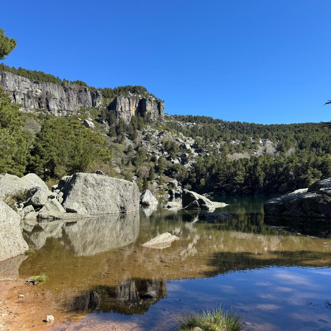 El 16 y 17 de mayo se celebró el Living Lab de Soria, un encuentro para repensar el #micoturismo desde la ciencia y la #sostenibilidad. Con expertos internacionales, salidas al campo y debates sobre #biodiversidad fúngica y nutrición micológica 🍄🌱

¡Nos vemos en la próxima!🙌✨