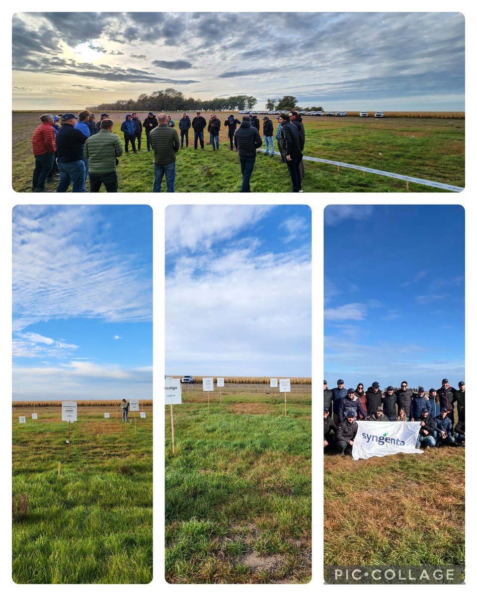 Jonatan Mauro (@jonatanmauro1) on Twitter photo Semana de recorrida.
Nuevas #Tecnologías <a href="/Syngenta_ar/">Syngenta Argentina</a> para seguir haciéndole frente a las malezas 🌱
#Innovación
#Desarrollo
#Investigación
#NuevosLanzamientos Semana de recorrida.
Nuevas #Tecnologías <a href="/Syngenta_ar/">Syngenta Argentina</a> para seguir haciéndole frente a las malezas 🌱
#Innovación
#Desarrollo
#Investigación
#NuevosLanzamientos