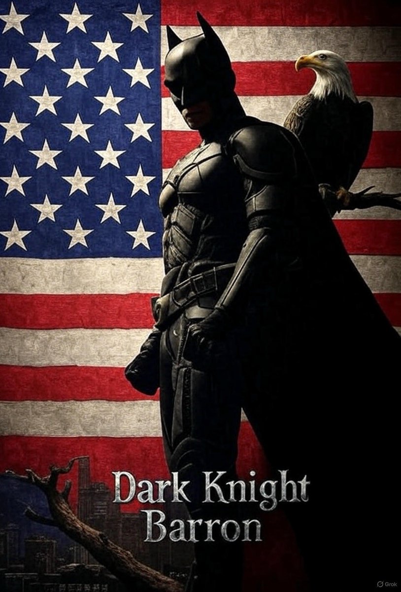 DarkKnightBarron tweet media