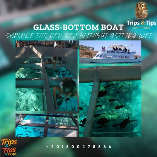 TRIPS_TIPS11's tweet photo. π Discover the Red Sea without diving in! π Glass-Bottom Boat Tour in Hurghada β from just $15! Book now: https://t.co/DtRhqIemDl | π 01500478866
#Hurghada #RedSeaAdventure #FamilyFun https://t.co/YZgyx61BKL