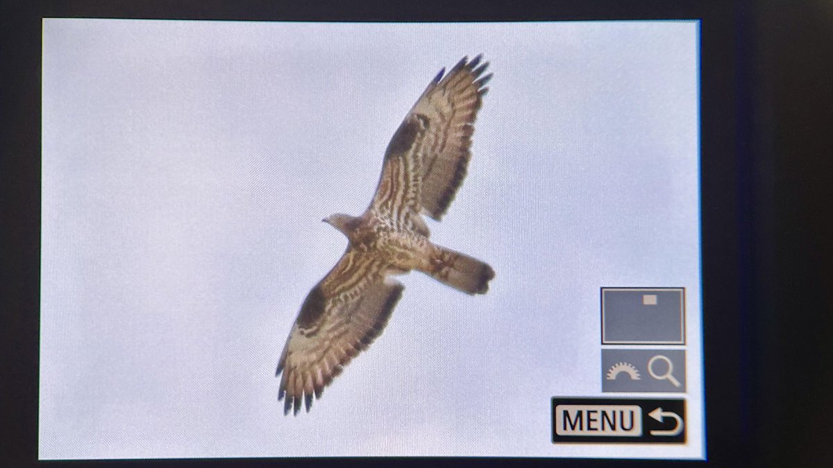 Miles Cluff tweet media