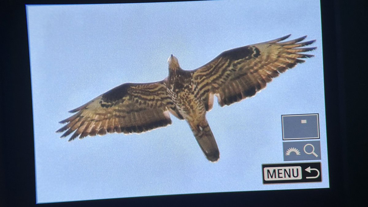 Miles Cluff tweet media