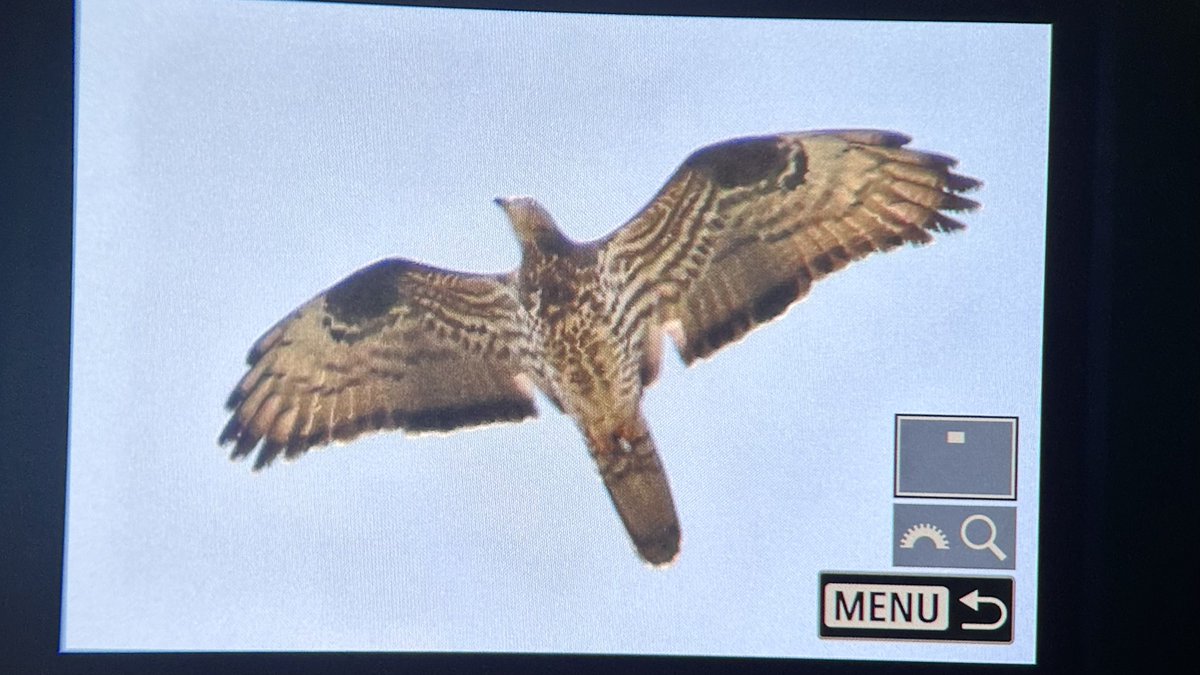 Miles Cluff tweet media