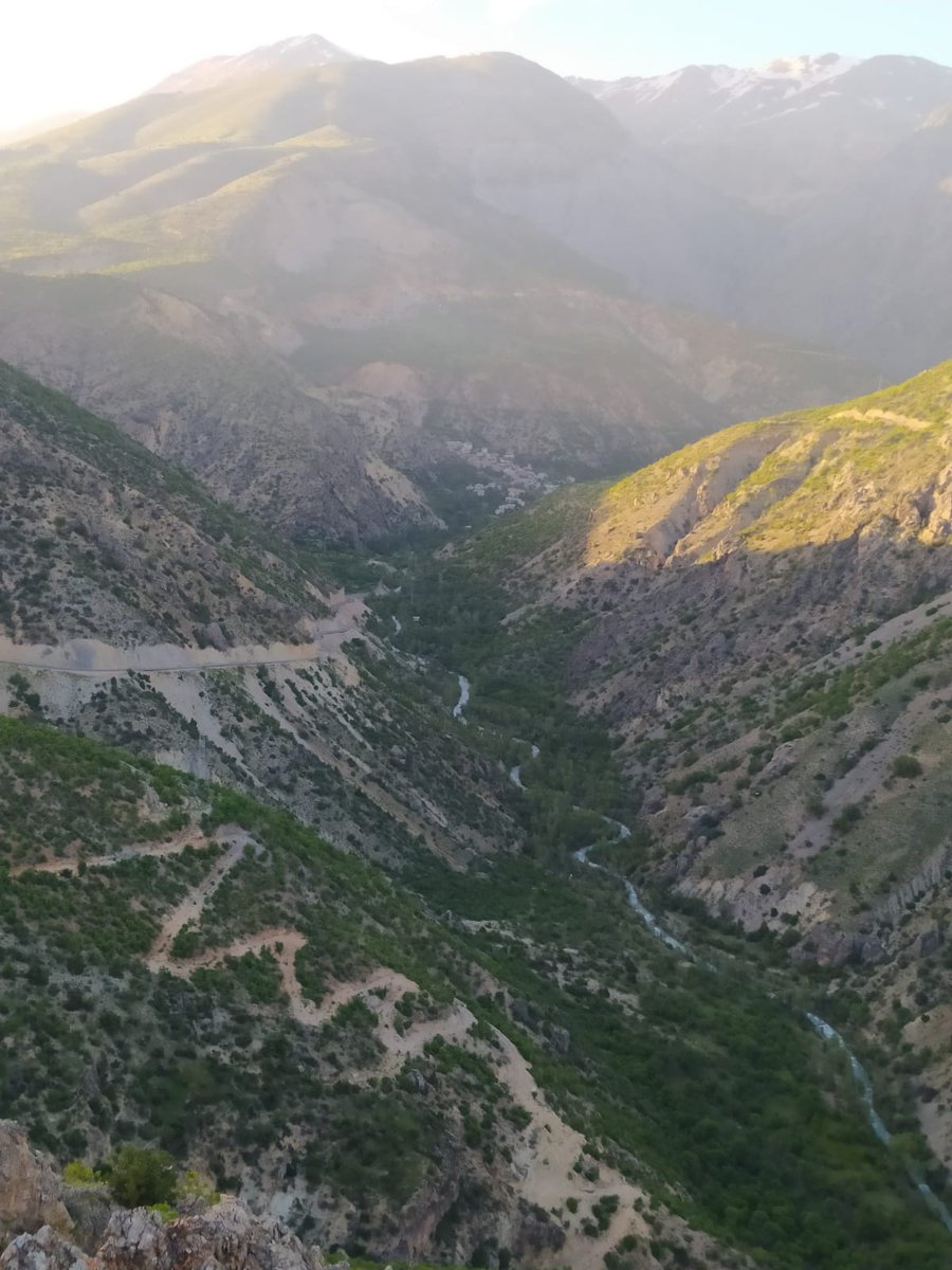 Ben herşeyi sonradan öğrendim. 
Herkes herkesi sonradan öğrenirmiş ;
bunuda sonradan öğrendim 
 
Turgut Uyar 
 
Kemaliye köylerinde bir görsel ile tüm dostlara iyi akşamlar. 🌻🌾