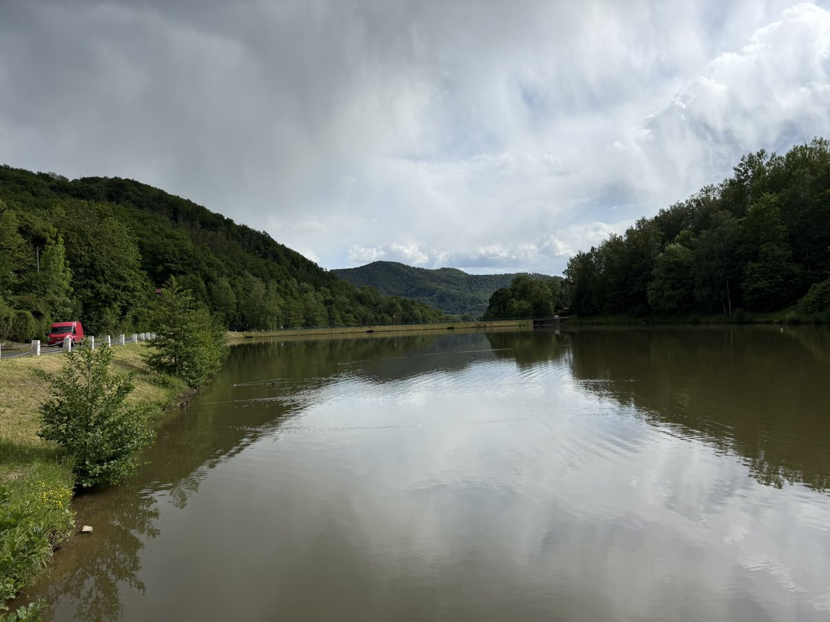 Pelusilla_'s tweet photo. Día 2 sobreviviendo en Chernarus, aún no nos han matado ningún campero ❤️ @DriDGG  @fredy_beats https://t.co/Fk3sOpODiw