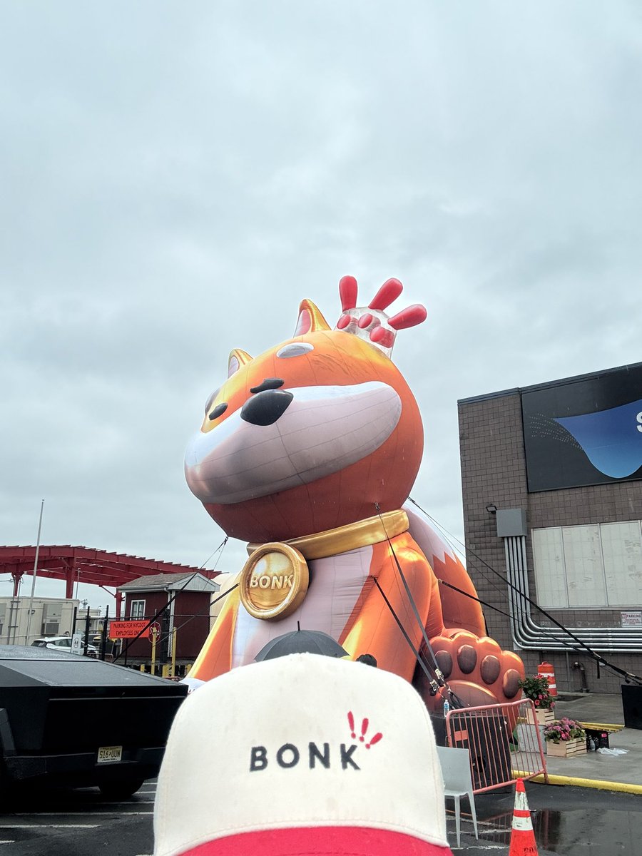 pillow_sol's tweet image. found gordo ❗️❗️❗️

@bonk_inu