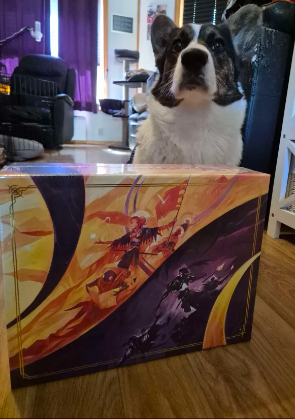 QueenChalo's tweet photo. Daggerheart finally arrived! Thalia the corgi isn't 100% sure but she is doing her best posing with moms new toy! 🐶✨ #Daggerheart #criticalrole https://t.co/tOFo3OCiRL