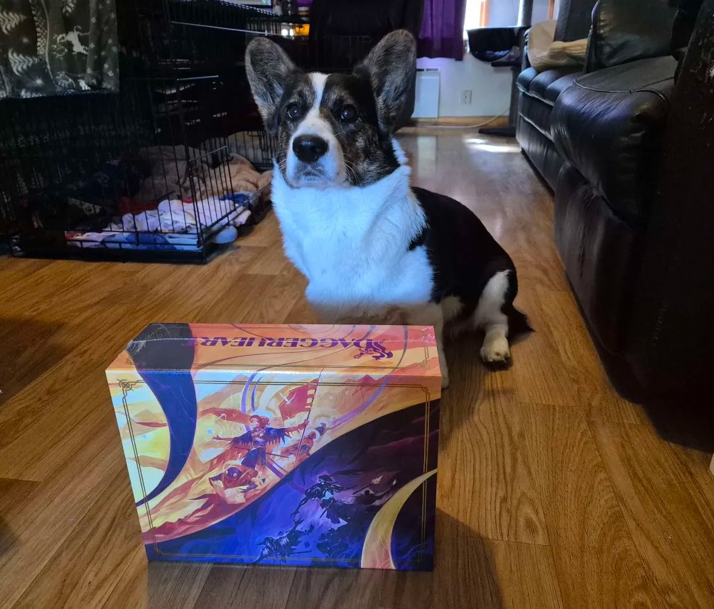 QueenChalo's tweet photo. Daggerheart finally arrived! Thalia the corgi isn't 100% sure but she is doing her best posing with moms new toy! 🐶✨ #Daggerheart #criticalrole https://t.co/tOFo3OCiRL