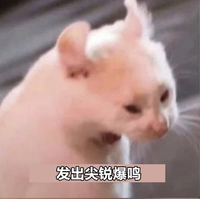 当你有一个贵州同事，你就会增加一项新的人生初体验
​
折耳根
​邪恶之源