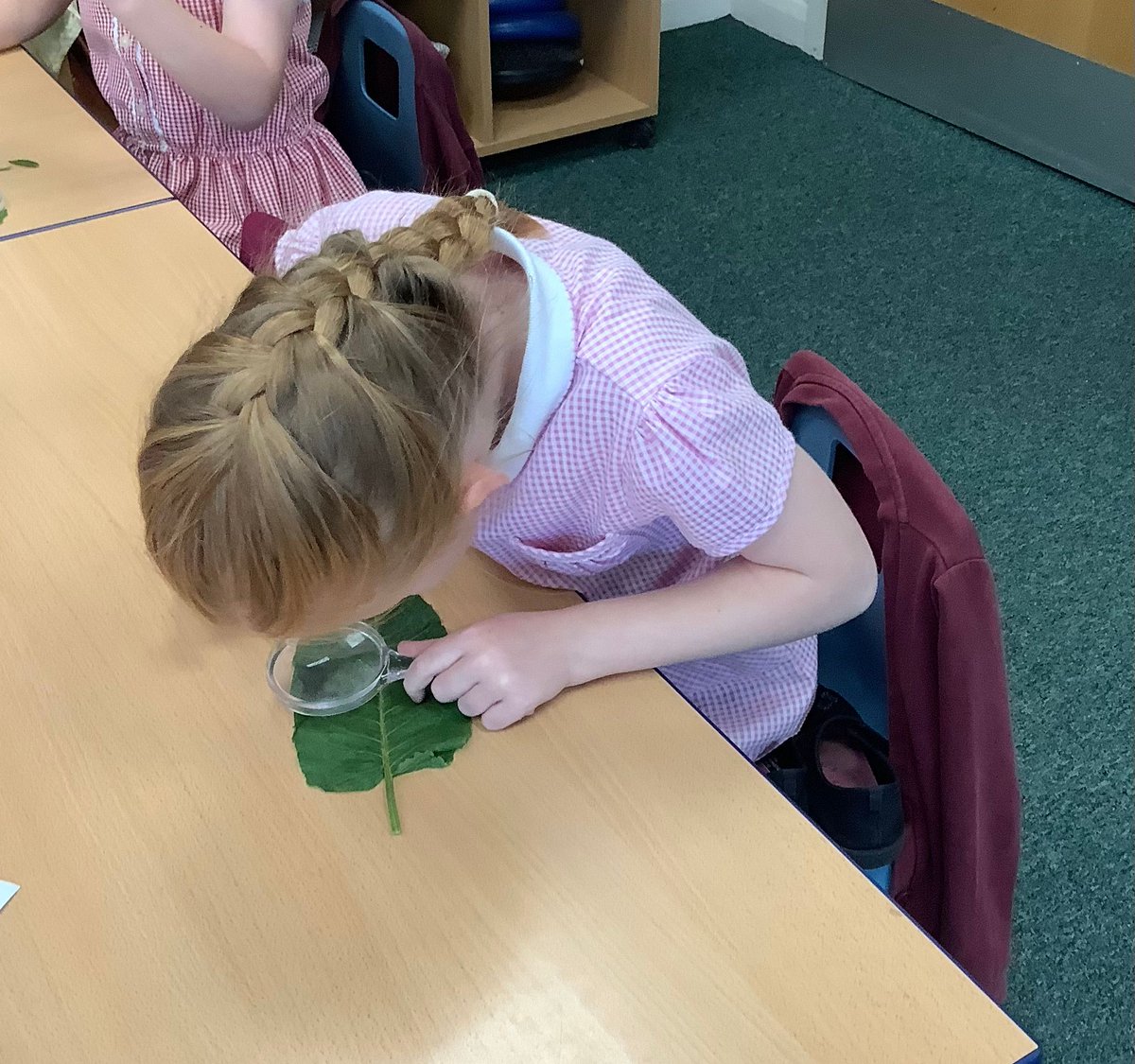 St Joseph's Catholic Primary School, Goole tweet media