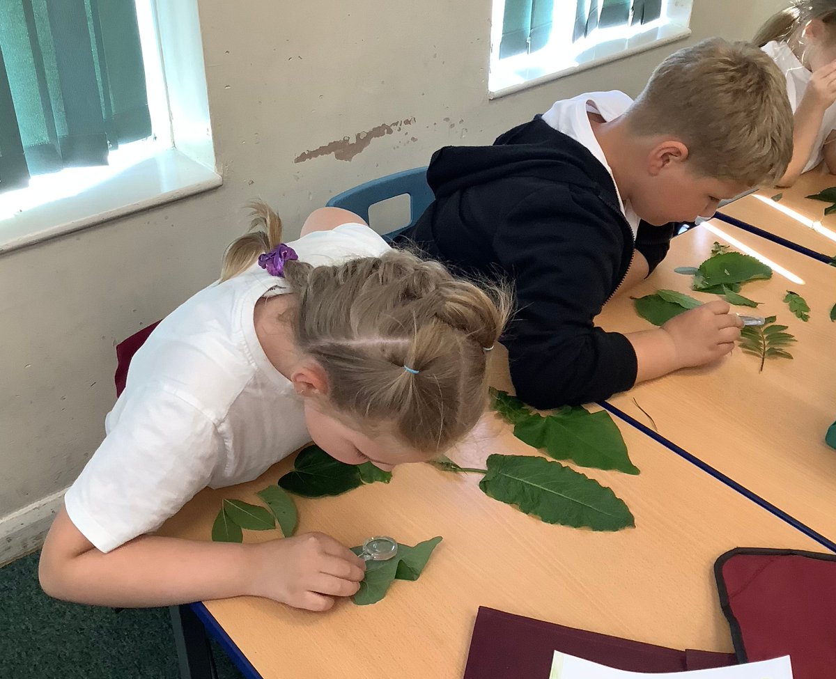 St Joseph's Catholic Primary School, Goole tweet media