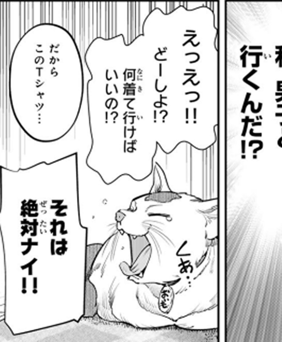 セラのおうちでは「おいも」という猫を飼っているんですが、ポーズの参考として実家の猫様にご協力いただいてます🙏 