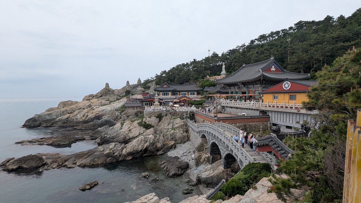 DAYSDAY1395401's tweet photo. 釜山観光その3。
海東龍宮寺(へドンヨングンサ)
建てられたのは1970年代と歴史は浅いが、敷地内の建物や橋の並びが龍を見たてていたりと造り込んでいます。
#해동용궁사 #釜山 #車で韓国 https://t.co/XIazoqmoIA