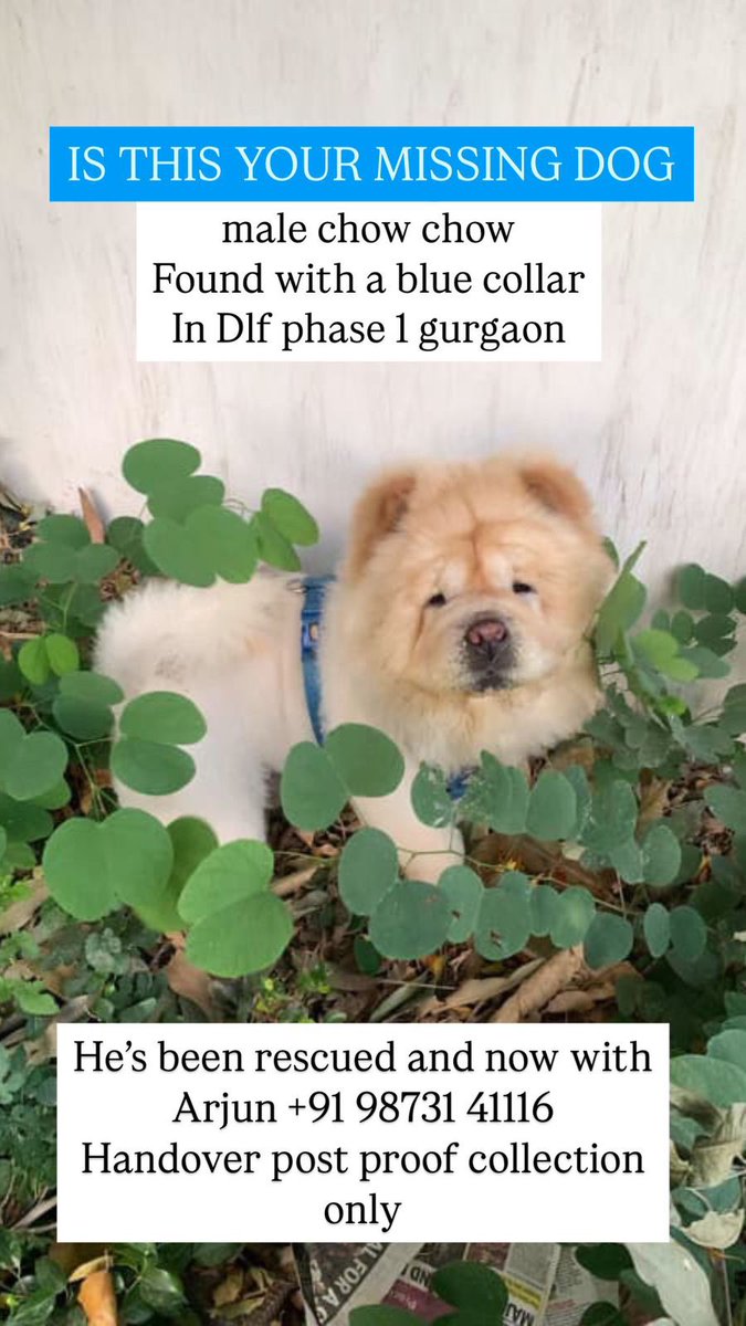 #Gurgaon