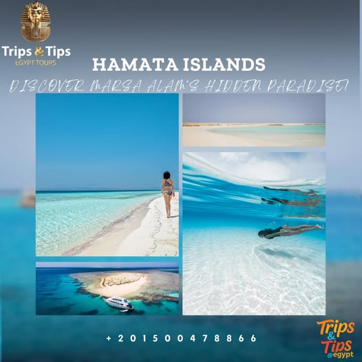 TRIPS_TIPS11's tweet photo. π Discover Marsa Alamβs hidden gem! Snorkel the untouched beauty of Hamata Islands β 3 stops, virgin beaches & mangroves π΄
π² https://t.co/DtRhqIemDl | π 01500478866
#HamataIslands #SnorkelingMarsaAlam #RedSeaAdventure #TripsAndTipsEgypt https://t.co/PaTfVaJJG8