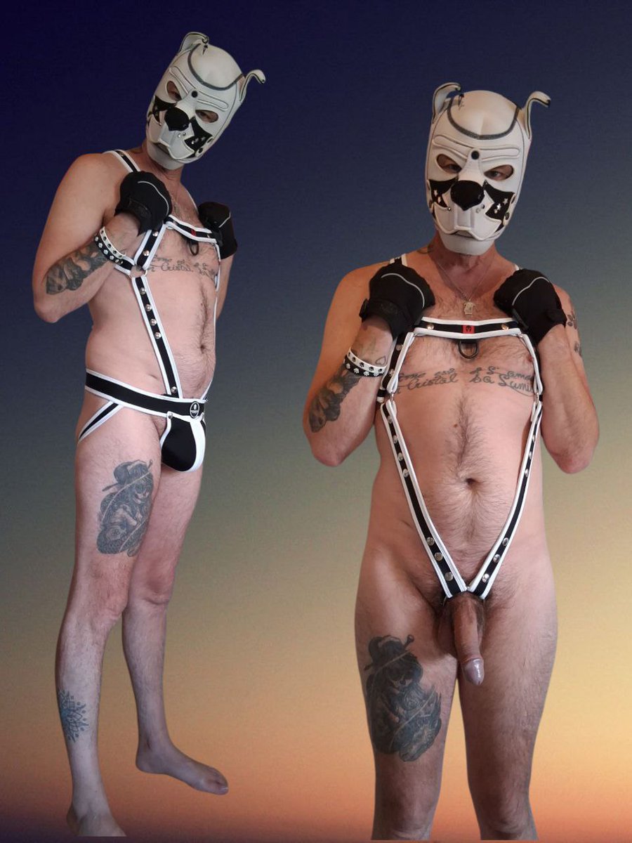 WillyVandervost's tweet image. Merci @BoyStoreFR pour la commande reçue ce jour je l'adore.