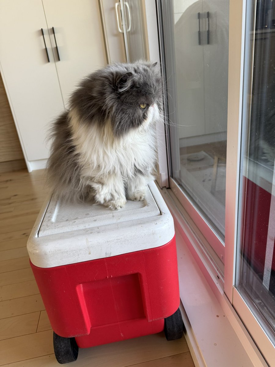 ia qero qe deje de llover pa salir a mi gardin a pasear i acostarme en el pasto