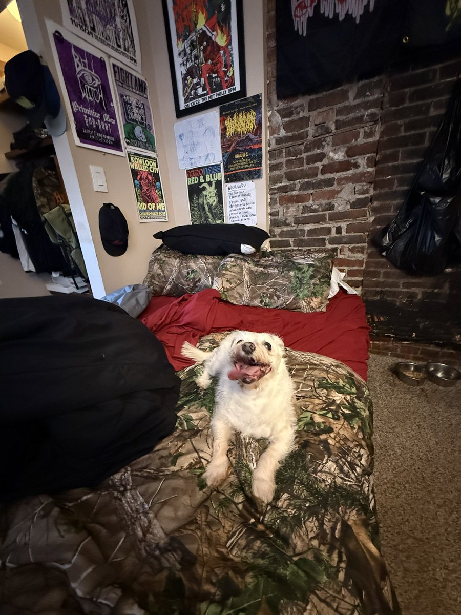My dog Jawn Snow has hit some medical issues again (he’s old as shit) 

Dropped these mystery boxes that come with a shirt,tote and two prints to help him out!

Link in the comments