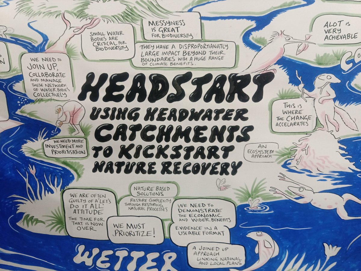 Ali Morse tweet media