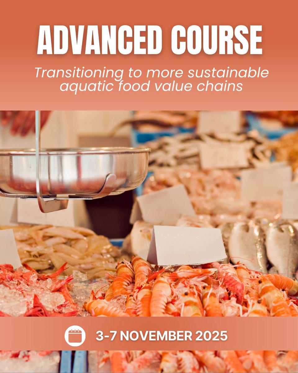CIHEAM Zaragoza (@ciheamzaragoza) on Twitter photo 📢 𝐍𝐞𝐰 𝐀𝐝𝐯𝐚𝐧𝐜𝐞𝐝 𝐂𝐨𝐮𝐫𝐬𝐞! Gain tools to analyse, design & implement interventions aimed at enhancing sustainability across the #AquaticFood value chain.
🗓️3-7 November
🖥️ Hybrid modality
🔗edu.iamz.ciheam.org/AquaticFood/en/
Organised in collaboration with <a href="/FAO/">Food and Agriculture Organization</a> 📢 𝐍𝐞𝐰 𝐀𝐝𝐯𝐚𝐧𝐜𝐞𝐝 𝐂𝐨𝐮𝐫𝐬𝐞! Gain tools to analyse, design & implement interventions aimed at enhancing sustainability across the #AquaticFood value chain.
🗓️3-7 November
🖥️ Hybrid modality
🔗edu.iamz.ciheam.org/AquaticFood/en/
Organised in collaboration with <a href="/FAO/">Food and Agriculture Organization</a>
