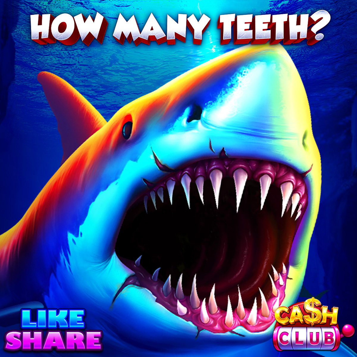 CashClubCasino's tweet photo. 🦷𝐂𝐨𝐮𝐧𝐭 𝐭𝐡𝐞 𝐓𝐞𝐞𝐭𝐡🦷
🦈Did you know sharks can have up to 3000 teeth? 🔍Count 𝓱��𝔀 𝓶𝓪𝓷𝔂 our shark has!
💰Claim Your Bonus--> https://t.co/ox8QZTJjE2
🔥 𝟱𝟬 𝗖𝗢𝗠𝗠𝗘𝗡𝗧𝗦＝𝗗𝗢𝗨𝗕𝗟𝗘 𝗕𝗢𝗡𝗨𝗦 in next post!

#Shark #Slot #SharkTeeth #CountGame #CashClub https://t.co/nq4dbp89Mg