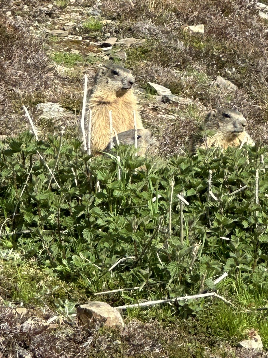 23/05/2025 : Toute la famille est de sortie…