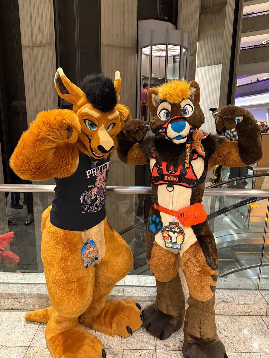Kaiko_dotter's tweet photo. oversized roo and dotter Stuntin’ on you this #FursuitFriday 

🦘: @VexedLupine 
Harness : @RuffLeather 
👔  : @WildcatCostumes https://t.co/ePq0qCa8S0