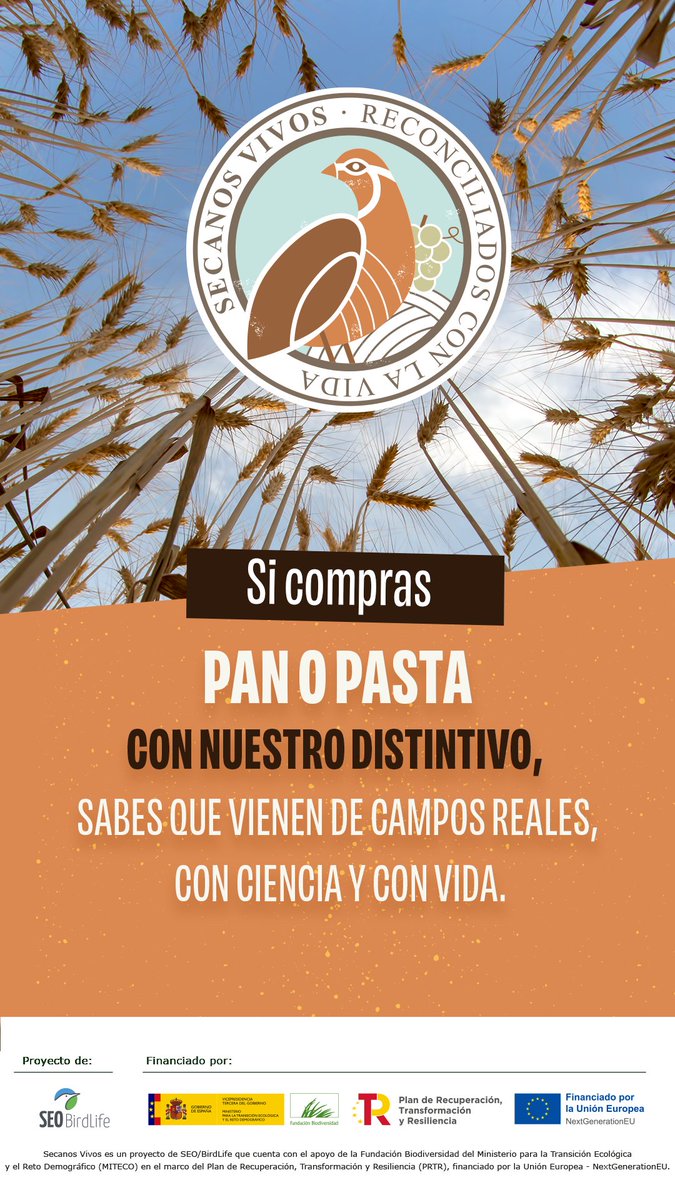 SEO/BirdLife (@seo_birdlife) on Twitter photo 🍇 De los olivos… al cereal y la vid. #SecanosVivos es la evolución natural del modelo que iniciamos en <a href="/olivaresvivos/">LIFE Olivares Vivos+</a> : una agricultura que no agota el agua, que mide su impacto, que cultiva biodiversidad.
🌾 Sin regadío.
🧪 Con ciencia.
📊 Con resultados.
Un 🍇 De los olivos… al cereal y la vid. #SecanosVivos es la evolución natural del modelo que iniciamos en <a href="/olivaresvivos/">LIFE Olivares Vivos+</a> : una agricultura que no agota el agua, que mide su impacto, que cultiva biodiversidad.
🌾 Sin regadío.
🧪 Con ciencia.
📊 Con resultados.
Un