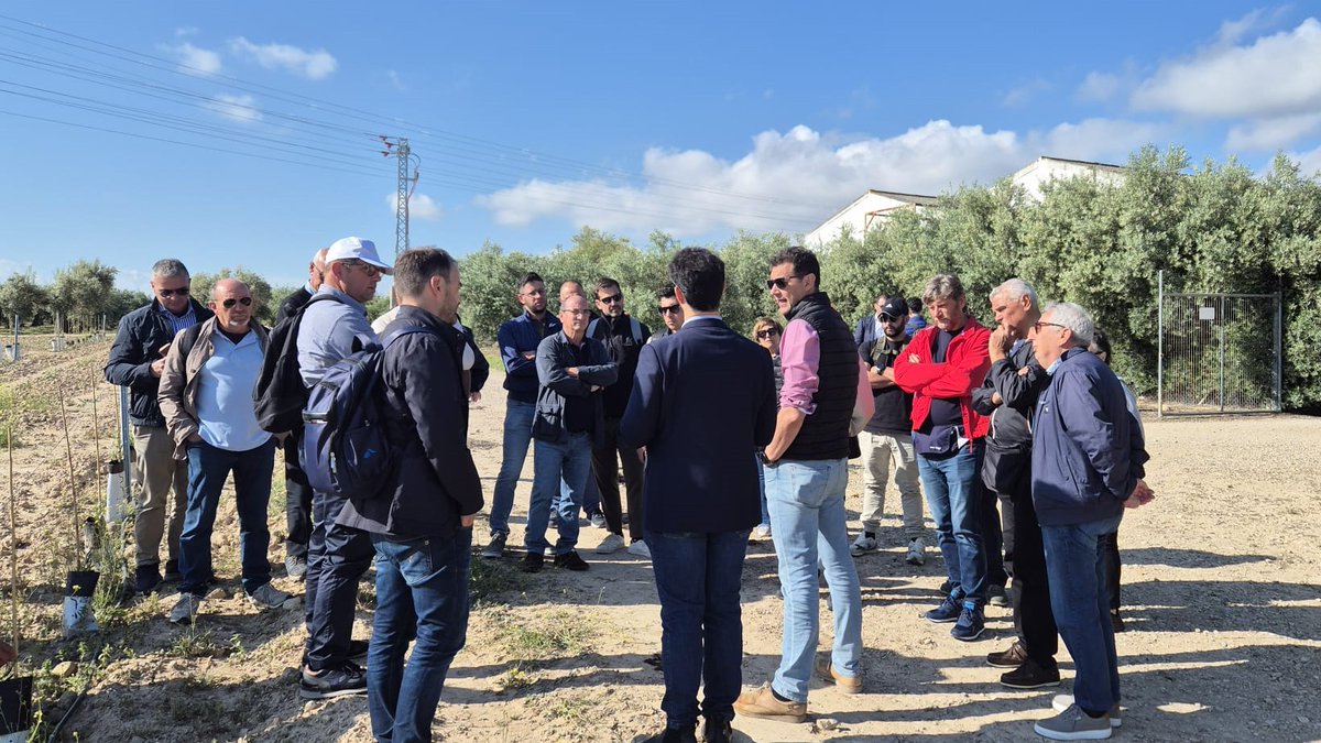 IfapaJunta's tweet photo. Un grupo de 30 profesionales del sector #oleícola de #Italia🇮🇹 visitan en Mengíbar el #IFAPA Venta del Llano🫒
Los participantes han conocido las líneas de #investigación y #transferencia tecnológica que desarrolla el IFAPA en #olivar, #AOVE y valorización de #subproductos 🚜 https://t.co/6SmTbKA17f