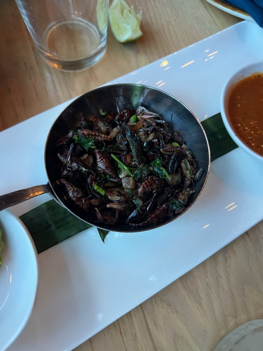 Mick Milsom (@milsommick) on Twitter photo Wow! This amazing meeting was packed to the brim with great talks on MDS-HSCs. I also got to try grasshoppers for the first time! Thanks so much for organizing <a href="/CollaSimona/">simona colla</a> <a href="/MDAndersonNews/">MD Anderson Cancer Center</a> Wow! This amazing meeting was packed to the brim with great talks on MDS-HSCs. I also got to try grasshoppers for the first time! Thanks so much for organizing <a href="/CollaSimona/">simona colla</a> <a href="/MDAndersonNews/">MD Anderson Cancer Center</a>
