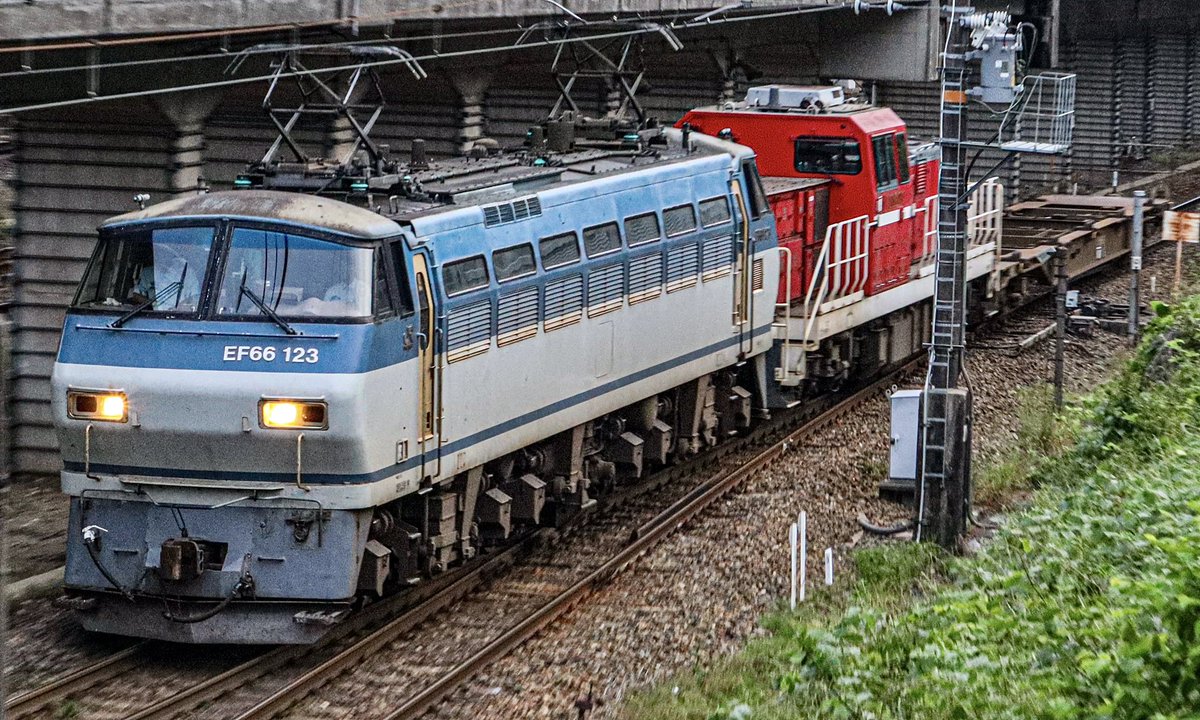 522_kiyo's tweet photo. こんばんは、お疲れ様です😊
今日の仕事帰り🤭
#8864レ #EF66123 #DD2003 #無動回送 #EF66 #吹田機関区 #電気機関車 #DD200 #ディーゼル機関車 #愛知機関区  2025.5.23 pm6:34 https://t.co/EVIrtqDNYF